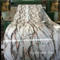 Bobine in acciaio pre-verniciate di stampa in marmo SPCC